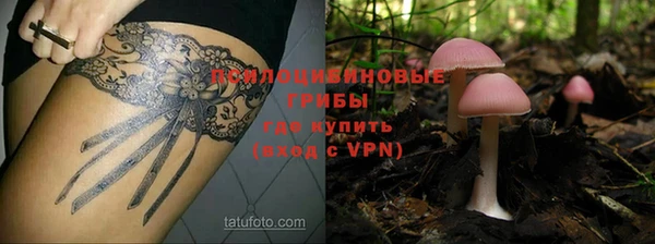 прущие крисы Алексеевка