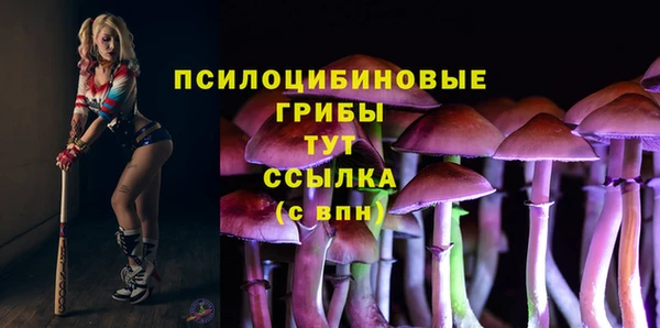 скорость Алексин