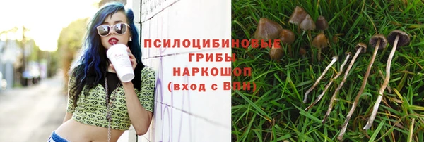 индика Протвино