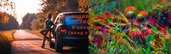 прущие крисы Алексеевка