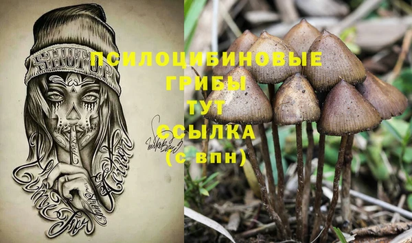 прущие крисы Алексеевка