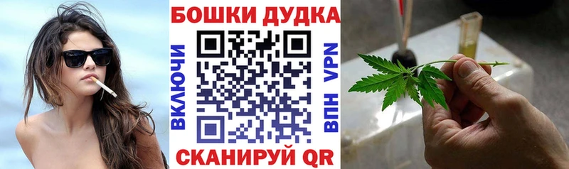 Бошки Шишки планчик  OMG   Калининск 